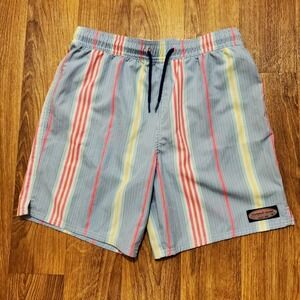 Vineyard Vines Swim Trunks Men Large Blue Striped Board Shorts Mesh Lined